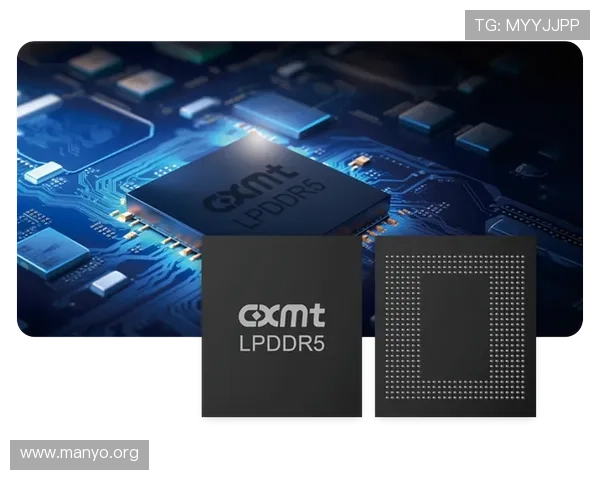 304永利安全保障措施详解确保玩家资金与信息安全的最佳选择 304永利安全保障措施详解确保玩家资金与信息安全的最佳选择