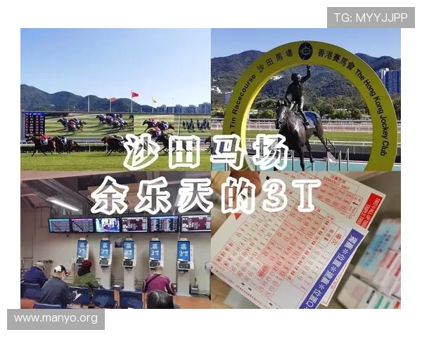 如何通过澳门赛马官网快速注册账号并享受优质投注体验指南