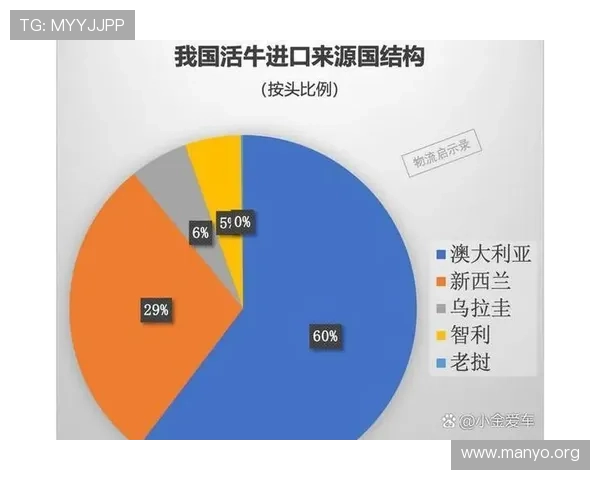 澳门博彩业占比在地区经济中的核心地位及其带来的机遇与挑战