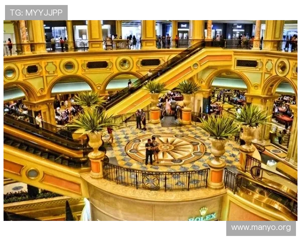 澳门赌场不同年龄段玩家比例变化趋势及其背后原因详解